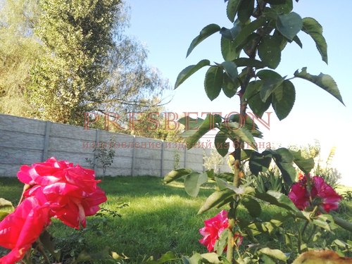 Сланец с бутом глухая плита забора